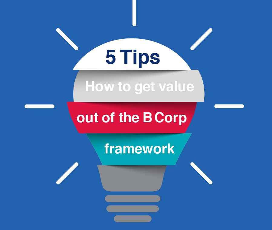 Graphic of a lightbulb that reads "5 tips for how to get value out of the B Corp framework"